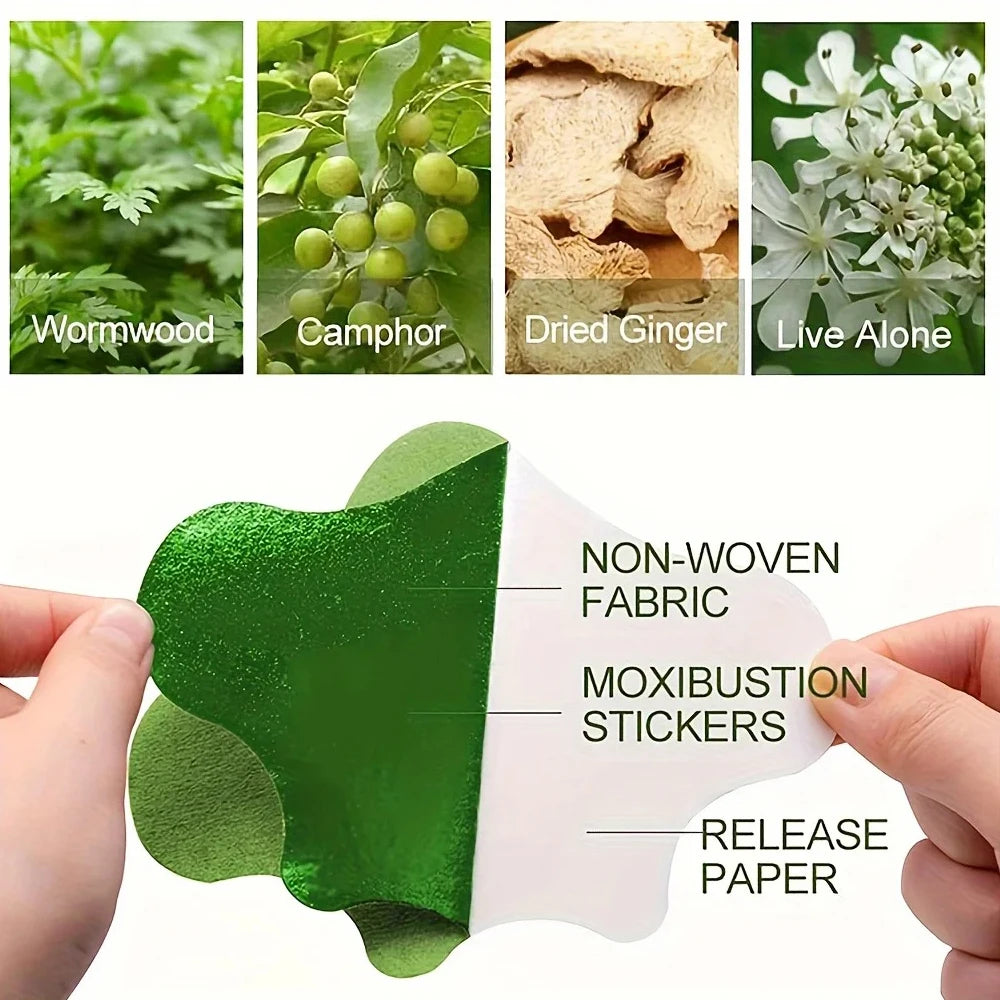 Mugwort Heat Therapy Patches – Soothing Warm Pads for Back, Neck & Knee Pain Relief | Winter Muscle Relaxing Massage Patch